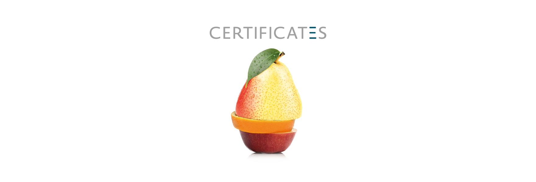 certificates.jpg 